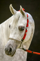 20061210_EKL_0007