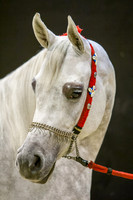 20061210_EKL_0008