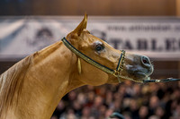 20081214_EKL_0003