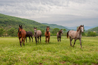 20080509_EKL_0005