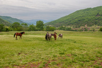 20080509_EKL_0004