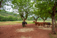20080509_EKL_0001