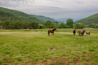 20080509_EKL_0003