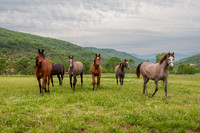 20080509_EKL_0006