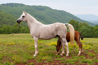 20080509_EKL_0007