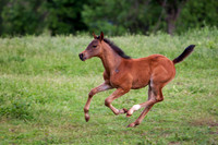 20080509_EKL_0014
