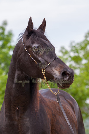 20080510_EKL_0009