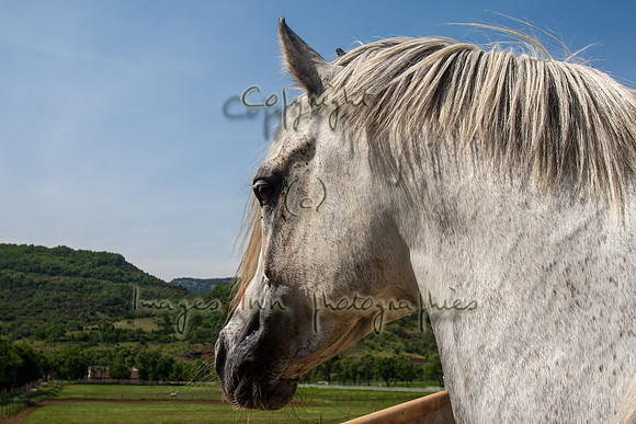 20080510_EKL_0034