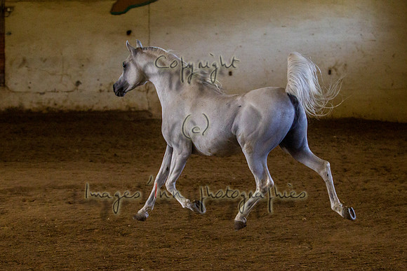 20100810_EKL_0140