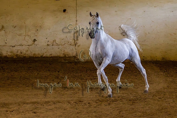 20100810_EKL_0146