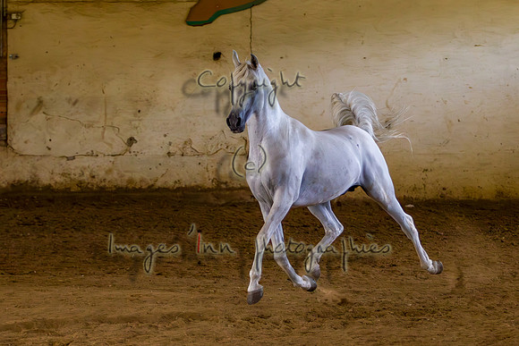 20100810_EKL_0147