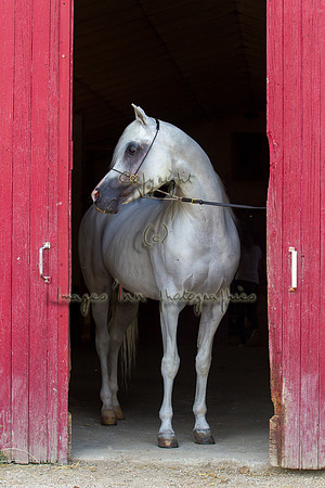 20100810_EKL_0169