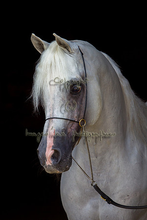 20100810_EKL_0180