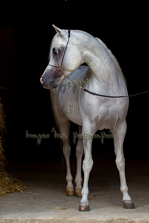 20100810_EKL_0184