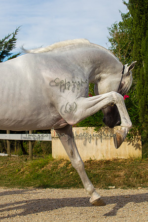 20100810_EKL_0195