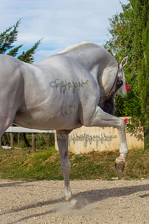 20100810_EKL_0196
