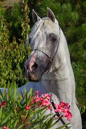 20100810_EKL_0259