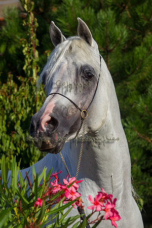 20100810_EKL_0264