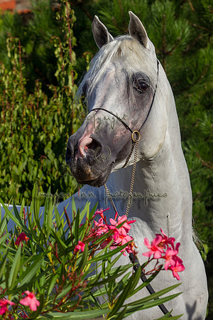 20100810_EKL_0266