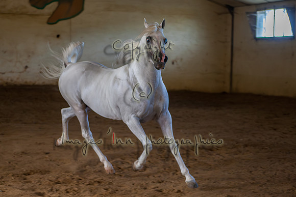 20100810_EKL_0274