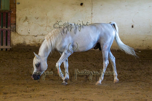 20100810_EKL_0313