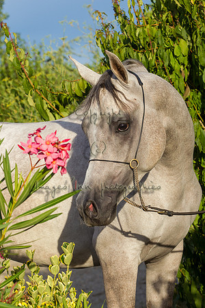 20100810_EKL_0366