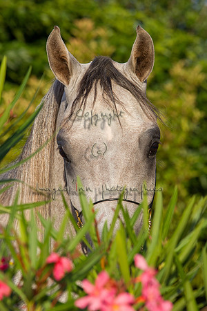 20100810_EKL_0369