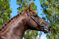 20080716_EKL_0064