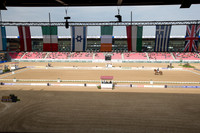 Divers et Ambiance Dressage