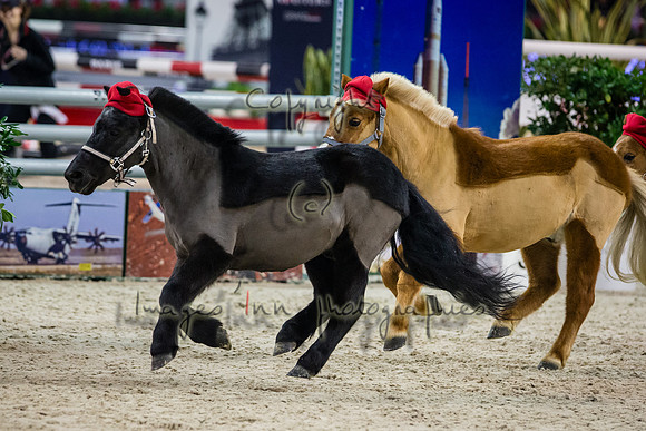 20131207_EKL_0237