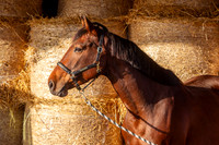 20130128_EKL_0022