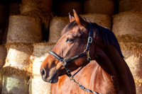 20130128_EKL_0026