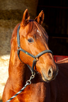 20130128_EKL_0027