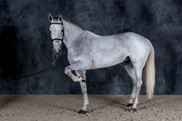 Haras des Coudrettes 2023