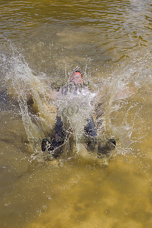 20130707_EKL_0073