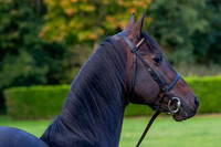 20081002_EKL_0022