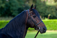20081002_EKL_0030