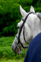 20080607_EKL_0004
