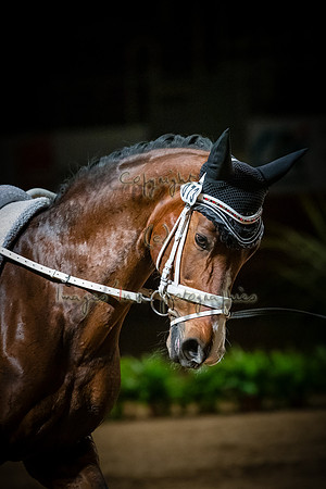 20190419_EKL_0335