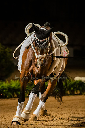 20190419_EKL_0337