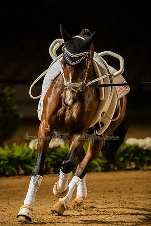 20190419_EKL_0336