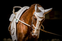 20190419_EKL_0422
