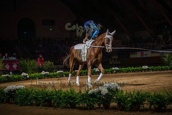 20190420_EKL_0184