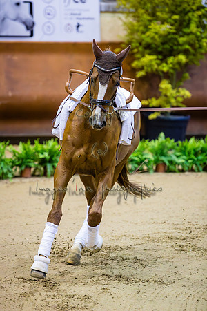 20190419_EKL_0001