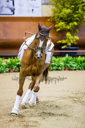 20190419_EKL_0002