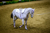 20190419_EKL_0152