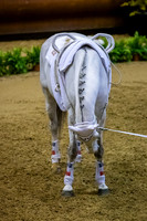 20190419_EKL_0166