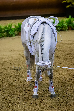 20190419_EKL_0167