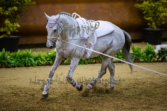 20190419_EKL_0296