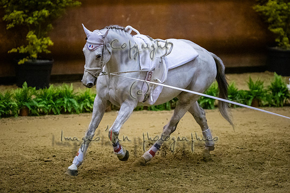 20190419_EKL_0297